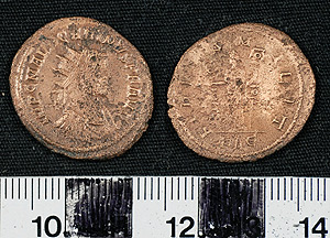 Thumbnail of Coin: Antoninianus of Carinus (1919.63.1376)