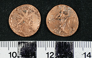 Thumbnail of Coin: Antoninianus of Florian (1919.63.1475)