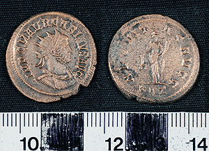 Thumbnail of Coin: Antoninianus of Carinus (1919.63.1519)