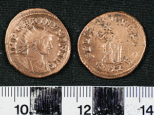 Thumbnail of Coin: Antoninianus of Carinus  (1919.63.1523)