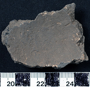 Thumbnail of Body Sherd (1924.02.0442)