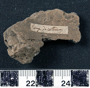 Thumbnail of Body Sherd (1924.02.0449)