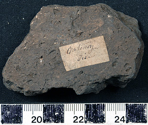 Thumbnail of Body Sherd (1924.02.0451)