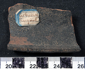 Thumbnail of Rim Sherd (1924.02.0455)