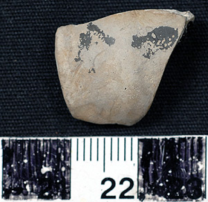 Thumbnail of Rim Sherd (1924.02.0541B)
