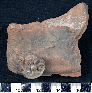 Thumbnail of Body Sherd (1926.02.0091)