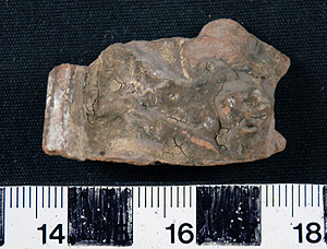 Thumbnail of Rim Sherd (1926.02.0175)