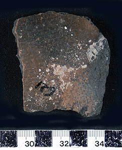 Thumbnail of Rim Sherd (1998.19.2538)