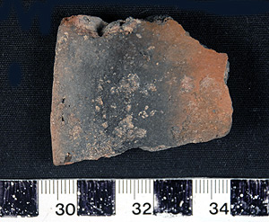 Thumbnail of Rim Sherd (1998.19.2545)