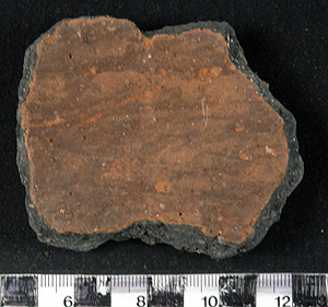 Thumbnail of Body Sherd (1998.19.2560)
