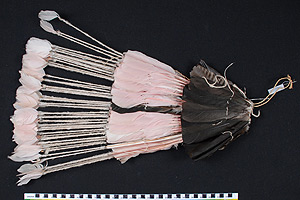 Thumbnail of Ceremonial Headdress (2007.08.0031)