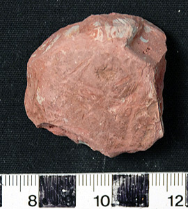 Thumbnail of Raw Material: Coral Alpa, Resin Sample (2008.03.0009E)