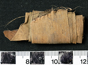 Thumbnail of Raw Material: Tree Resin Wrapped in Leaf (2008.03.0009F)