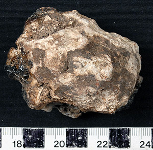 Thumbnail of Raw Material: Shinquillu, Tree Resin Sample (2008.03.0029A)