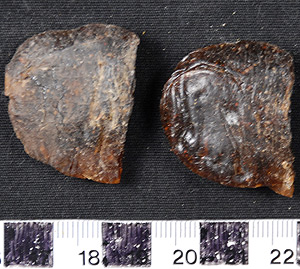 Thumbnail of Raw Material: Shinquillu, Tree Resin Sample (2008.03.0029C)