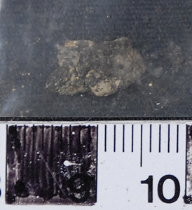 Thumbnail of Raw Material: Black Pigment (2008.03.0033)