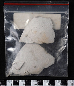 Thumbnail of Bag of Sherds (2008.03.0043A)