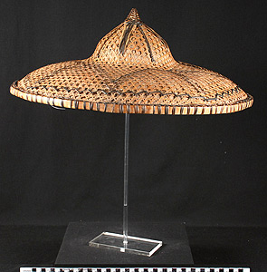 Thumbnail of Hat (2008.15.0001)