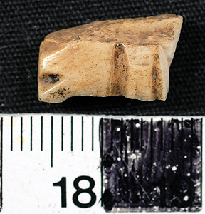 Thumbnail of Fragment (2011.01.0001)