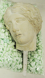 Thumbnail of Plaster Cast of Statue Head of Amazon by Pheidias (1900.11.0004B)