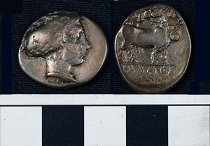 Thumbnail of Coin: Didrachm, Nola (1900.63.0594)