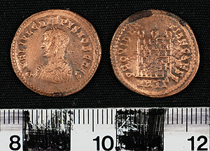 Thumbnail of Coin: Follis of Crispus (1900.63.1313)