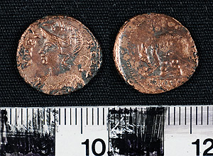 Thumbnail of Coin: Follis (1900.63.1406)