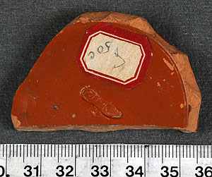 Thumbnail of Arretine Ware Body Sherd (1915.03.0143)