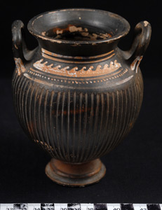 Thumbnail of Gnathia Amphora, Jar (1922.01.0052)