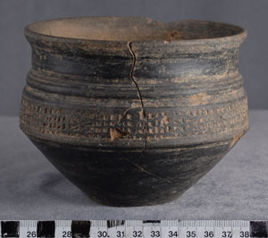 Thumbnail of Bowl (1924.02.0346)