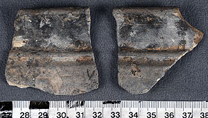 Thumbnail of Fragments of Vessel, Bowl (1924.02.0369B)
