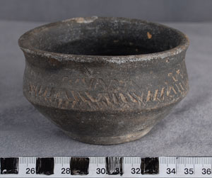 Thumbnail of Bowl (1924.02.0371)
