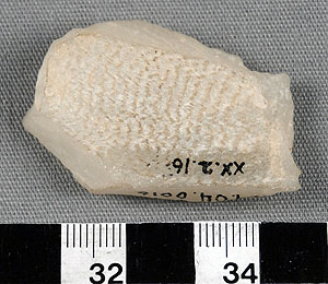 Thumbnail of Stone Tool: Worked Stone (1954.04.0016)