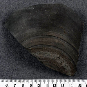 Thumbnail of Kantharos Body Sherd (1956.02.0021)