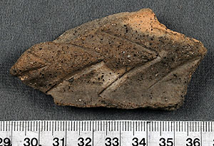 Thumbnail of Rim Sherd (1956.02.0034)