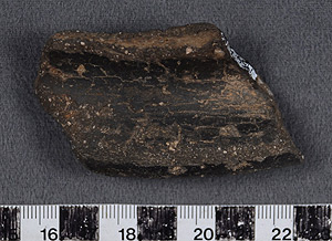 Thumbnail of Rim Sherd (1956.02.0105)