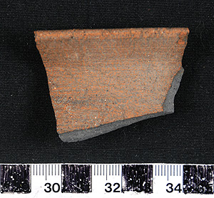 Thumbnail of Rim Sherd (1956.02.0118)