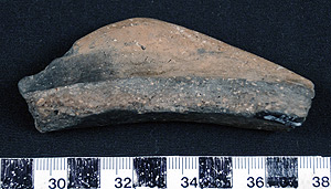 Thumbnail of Rim Sherd (1956.02.0135)