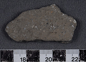 Thumbnail of Body Sherd (1956.02.0140)