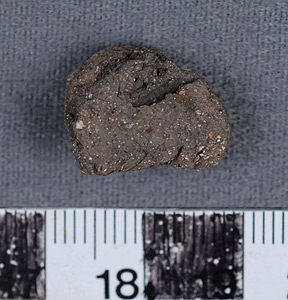 Thumbnail of Body Sherd (1956.02.0151)