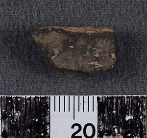 Thumbnail of Body Sherd (1956.02.0164)