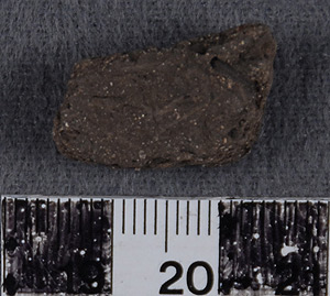 Thumbnail of Body Sherd (1956.02.0165)