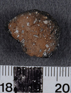 Thumbnail of Body Sherd (1956.02.0166)