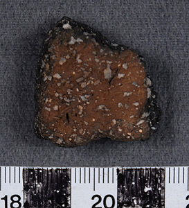 Thumbnail of Body Sherd (1956.02.0178)