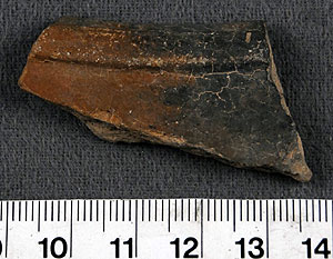 Thumbnail of Rim Sherd (1956.02.0183)