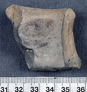 Thumbnail of Strap Handle Sherd (1956.02.0225)