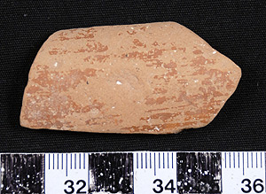Thumbnail of Rim Sherd (1956.02.0331)