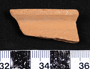 Thumbnail of Rim Sherd (1956.02.0381)