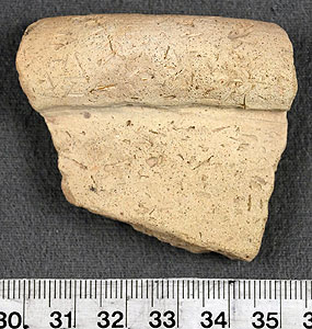 Thumbnail of Rim Sherd (1956.02.0416)