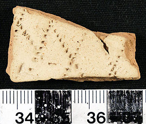 Thumbnail of Body Sherd (1956.02.0496)